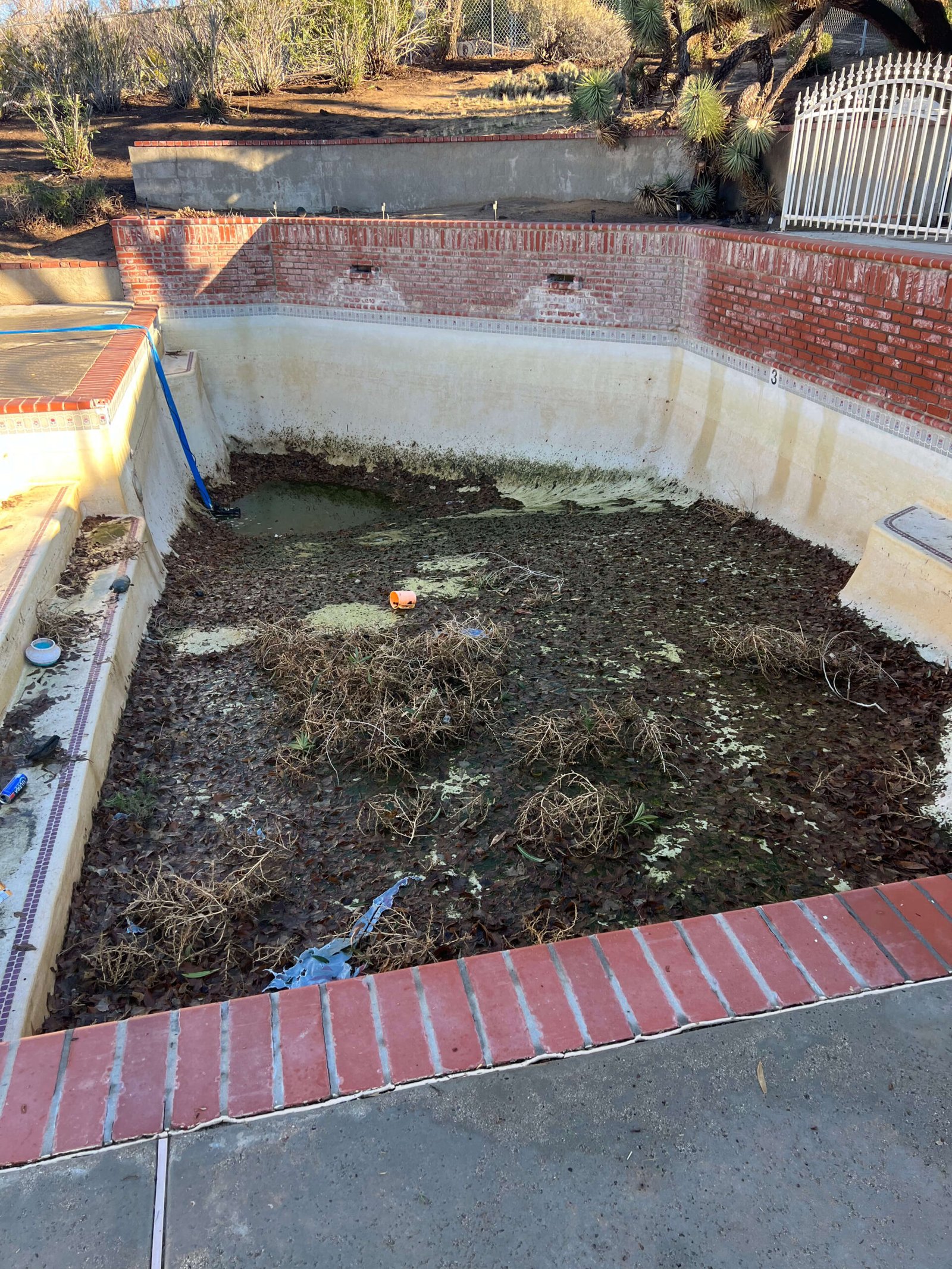 pool tile cleaning high desert ca