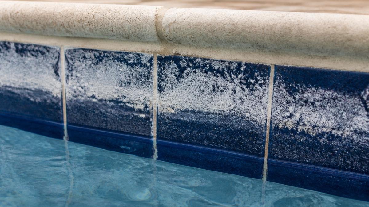 How to Remove Calcium From Pool Tiles 1 Close-up of pool waterline tile showing white chalky calcium deposits and mineral buildup on ceramic surface with water visible at bottom